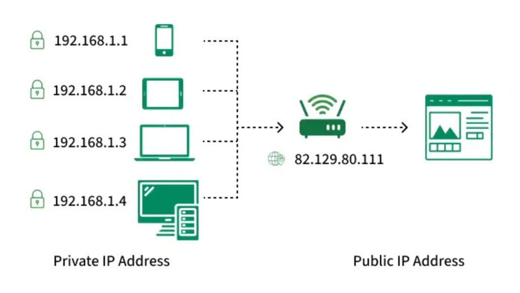 IP Addresses